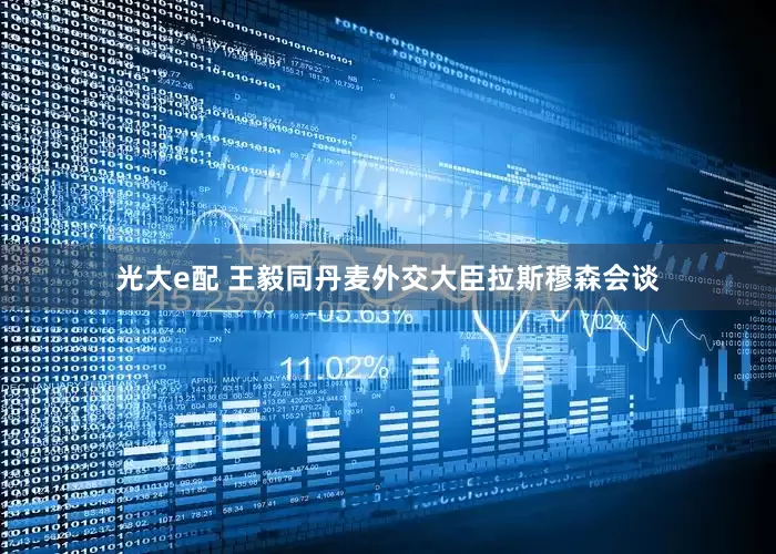 光大e配 王毅同丹麦外交大臣拉斯穆森会谈