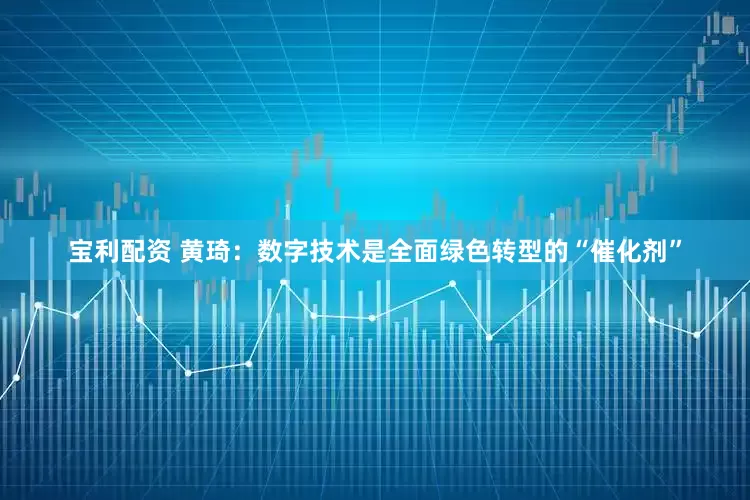 宝利配资 黄琦：数字技术是全面绿色转型的“催化剂”
