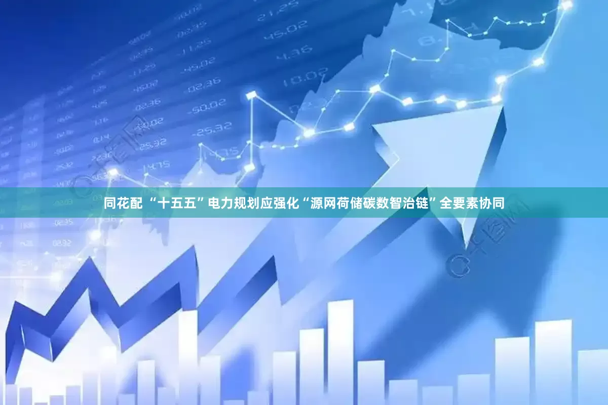 同花配 “十五五”电力规划应强化“源网荷储碳数智治链”全要素协同