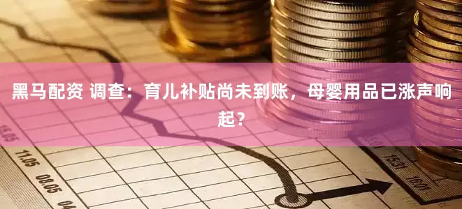 黑马配资 调查：育儿补贴尚未到账，母婴用品已涨声响起？