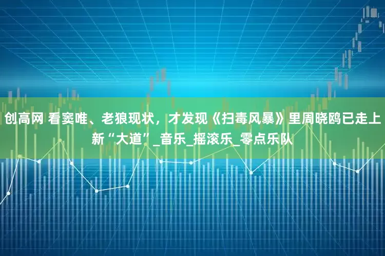 创高网 看窦唯、老狼现状，才发现《扫毒风暴》里周晓鸥已走上新“大道”_音乐_摇滚乐_零点乐队