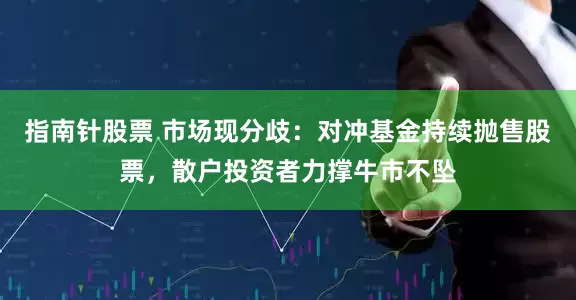 指南针股票 市场现分歧：对冲基金持续抛售股票，散户投资者力撑牛市不坠