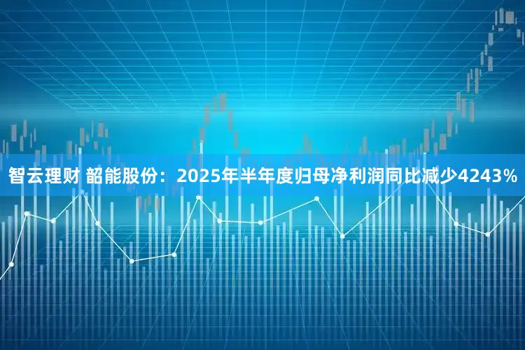 智云理财 韶能股份：2025年半年度归母净利润同比减少4243%